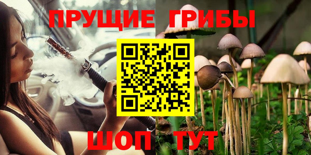 Верхняя Салда  Псилоцибиновые грибы GOLDEN TEACHER  Вход с VPN 