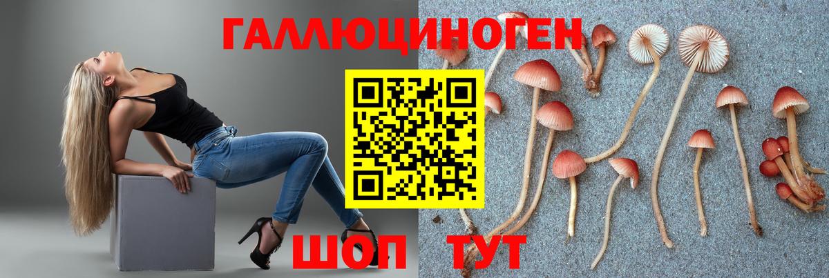 Галлюциногенные грибы мицелий Верхняя Салда